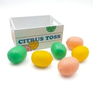 NWT Target Bullseye Playground Fun Citrus Toss Game, Summer Games